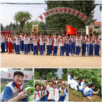 【义桥教育】校园文化,浸润师生心灵