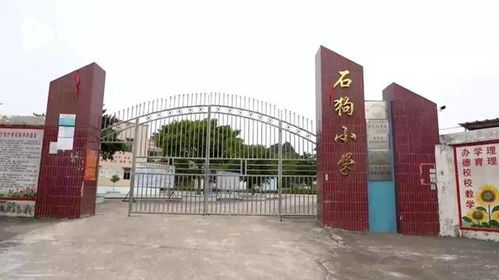都是鸡粪味 广东多村庄被恶臭笼罩,有村民戴口罩睡觉