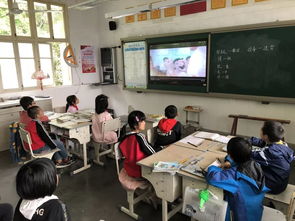 红十字会博爱周 林山中心小学与仁爱小学多彩活动传递仁爱精神