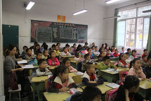 携手仁爱，共育新苗——三星博爱小学新教师见面课研讨活动纪实